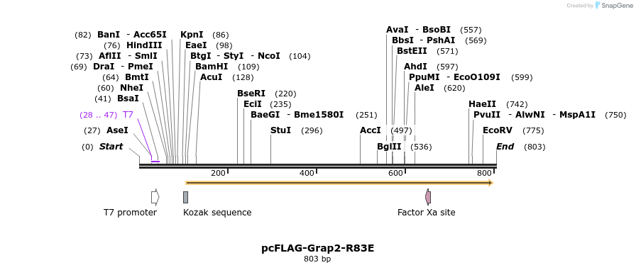 146177_map