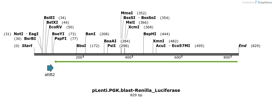 146183_map