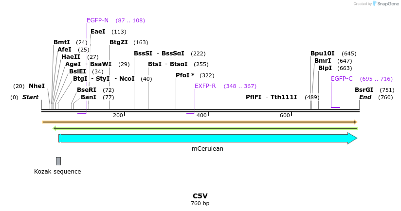 146207_map