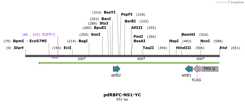 146211_map