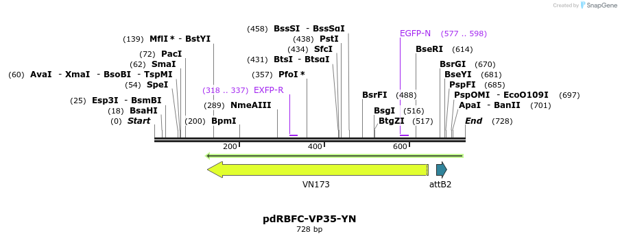 146213_map
