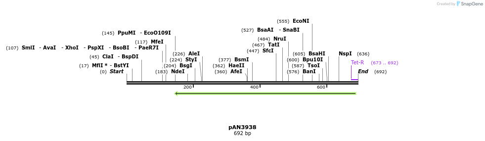 146220_map
