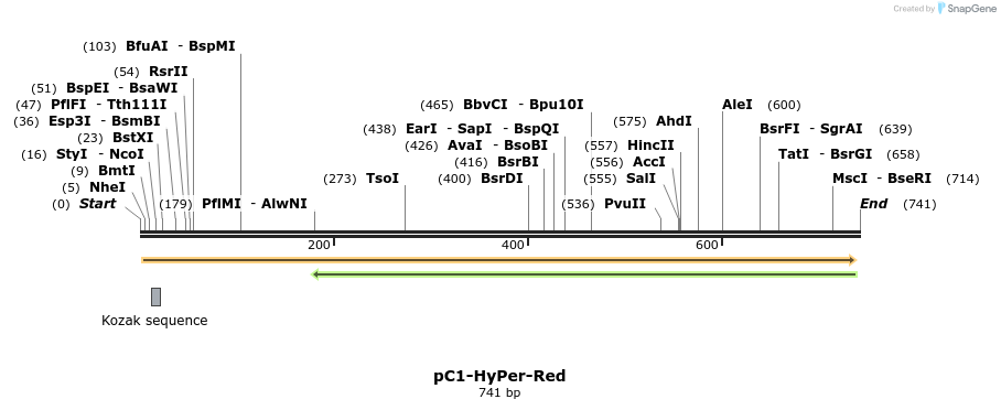 146225_map