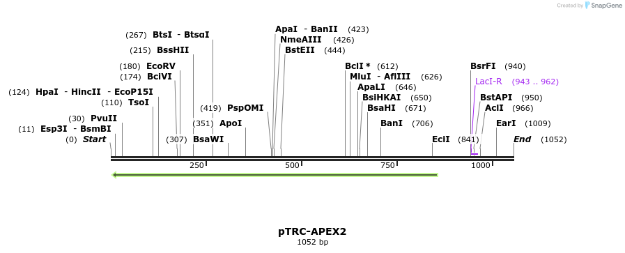 146226_map