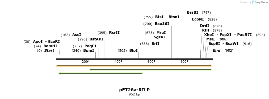 146229_map