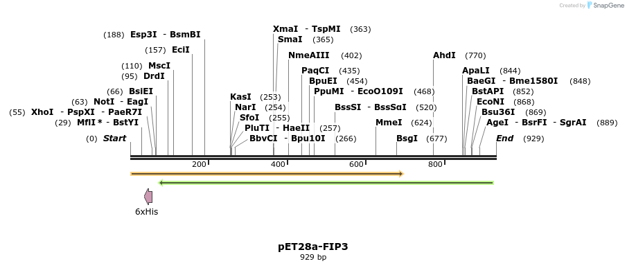 146234_map