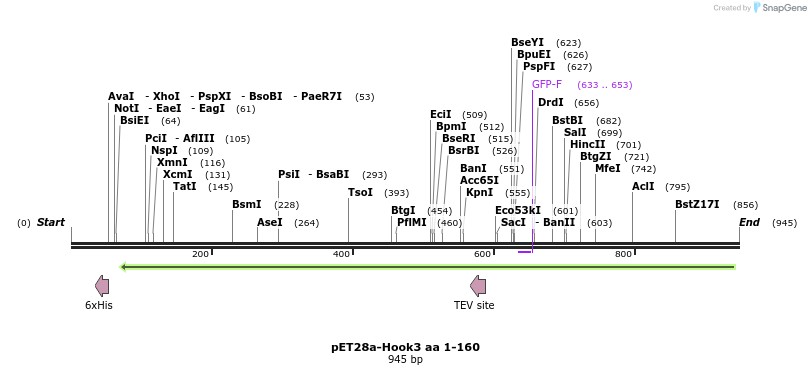 146235_map