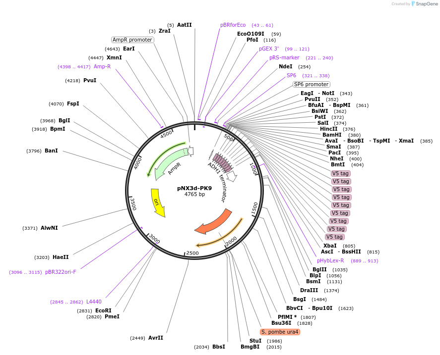 146300_map