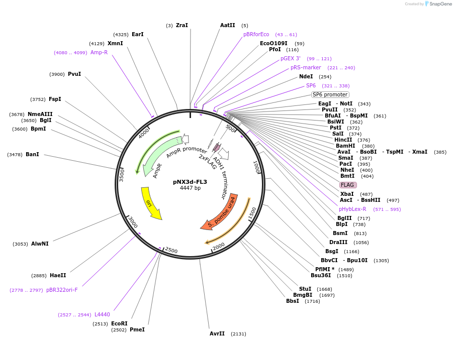 146302_map