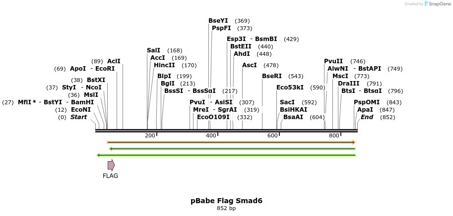 146305_map