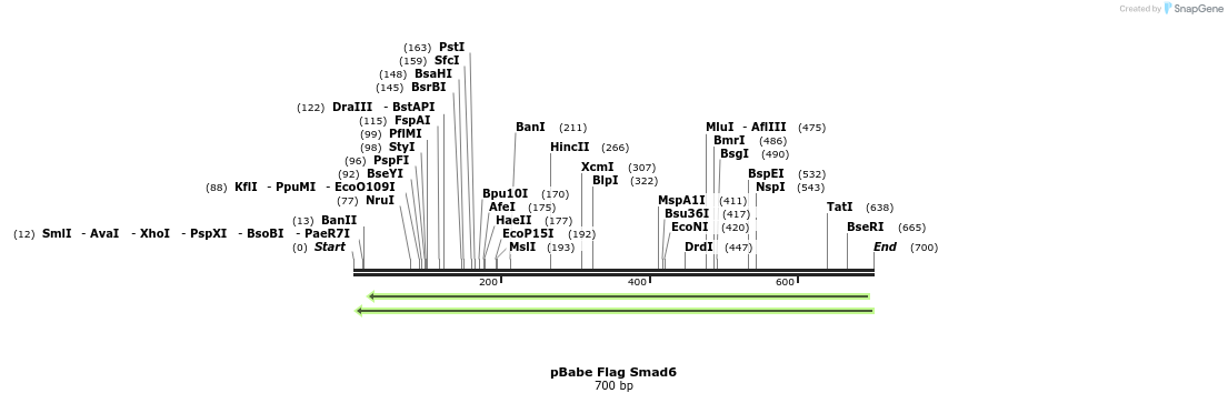146307_map