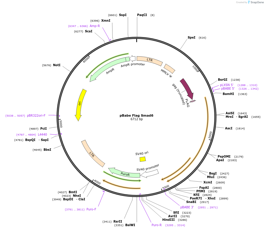 146308_map