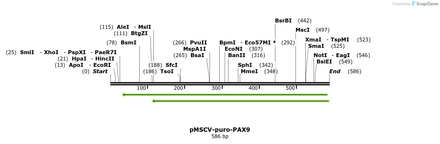 146311_map