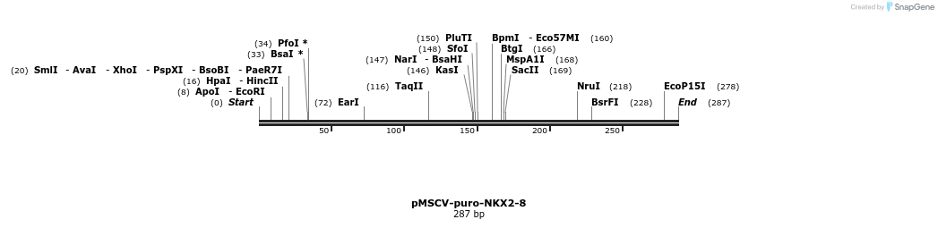146312_map