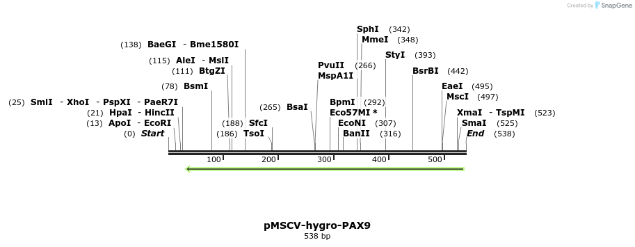 146318_map