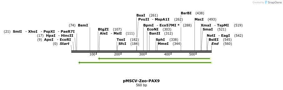146325_map