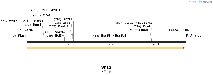 146339_map