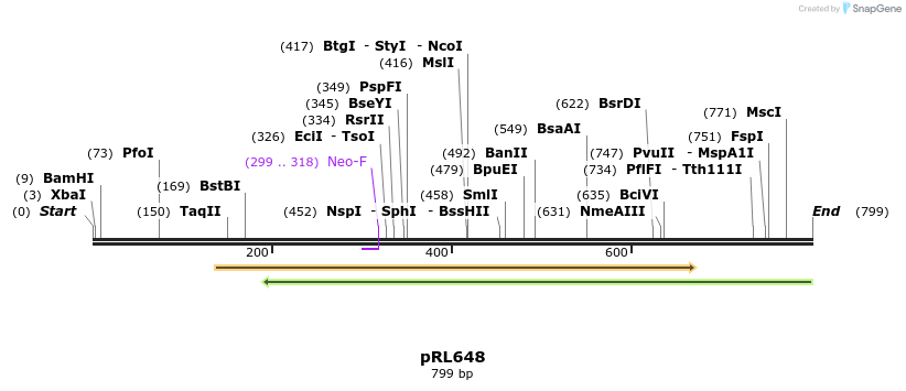 146351_map