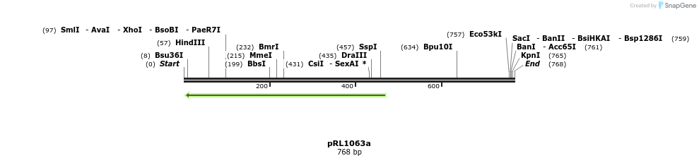 146372_map