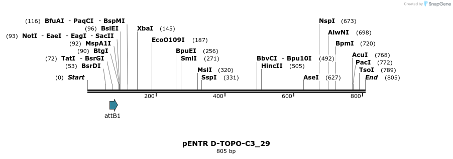 146376_map