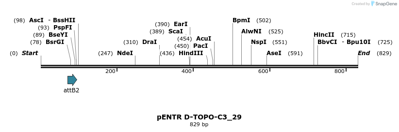 146377_map