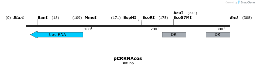 146390_map
