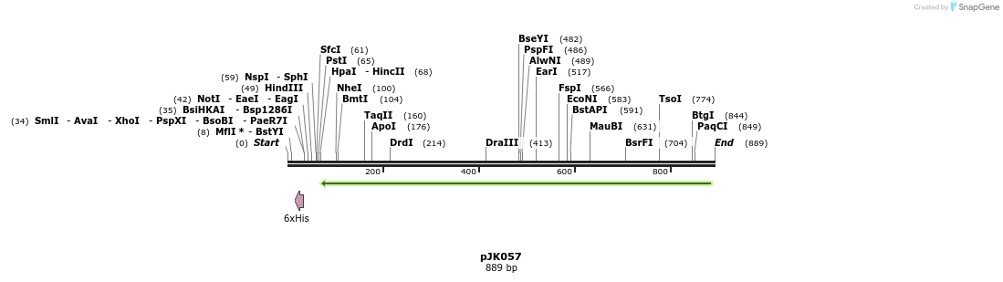 146391_map