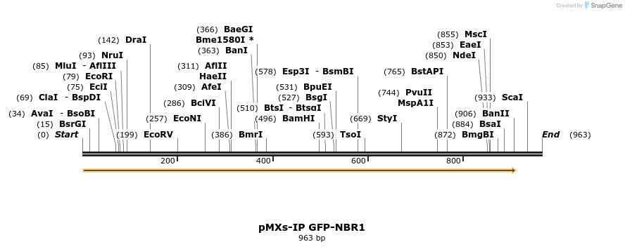 146396_map