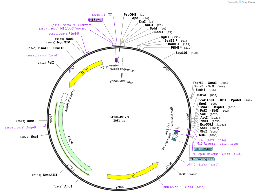 146402_map