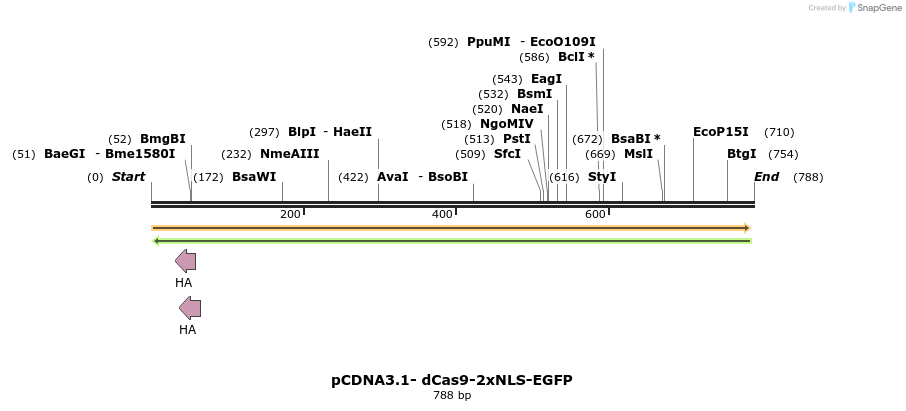 146404_map