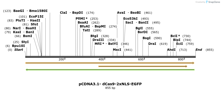 146405_map