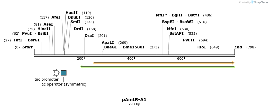 146412_map