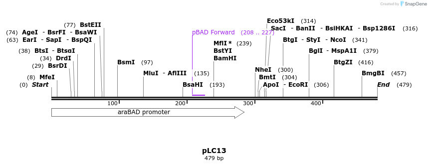 146416_map