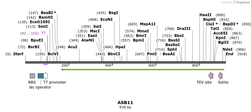 146421_map