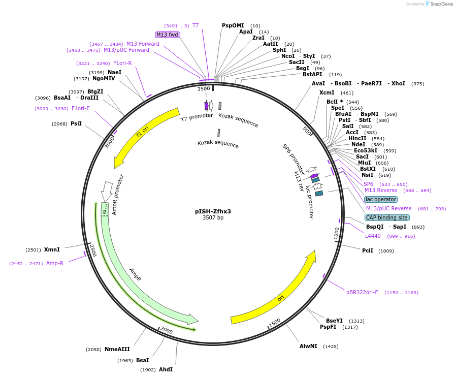 146430_map