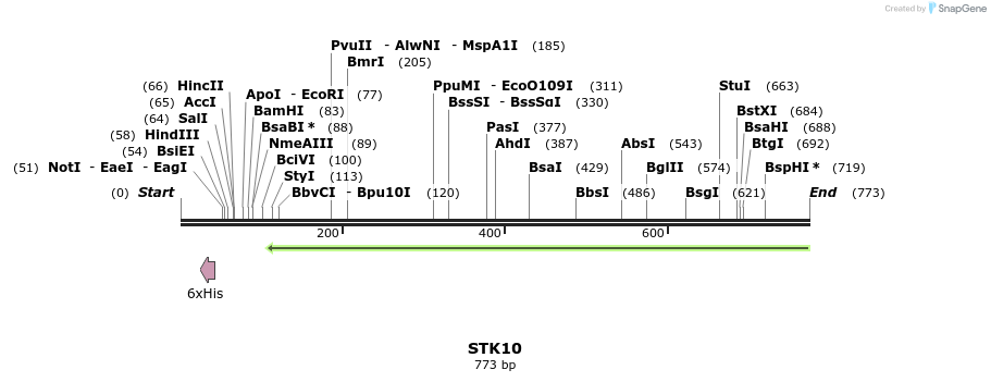 146437_map