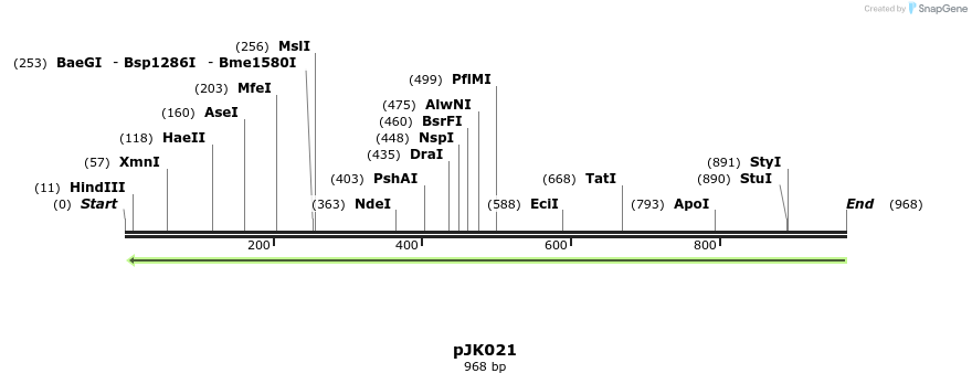 146438_map