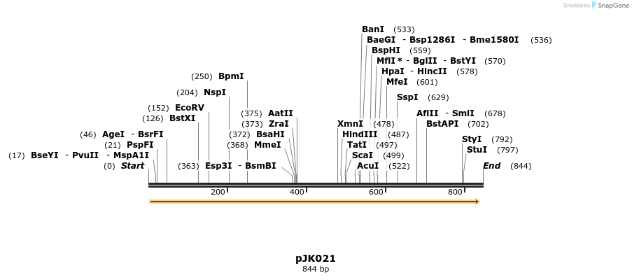 146439_map