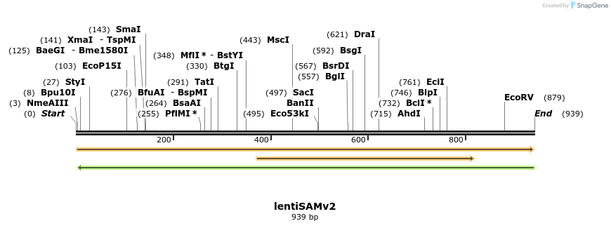 146453_map