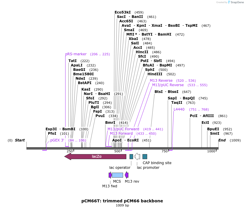 146454_map