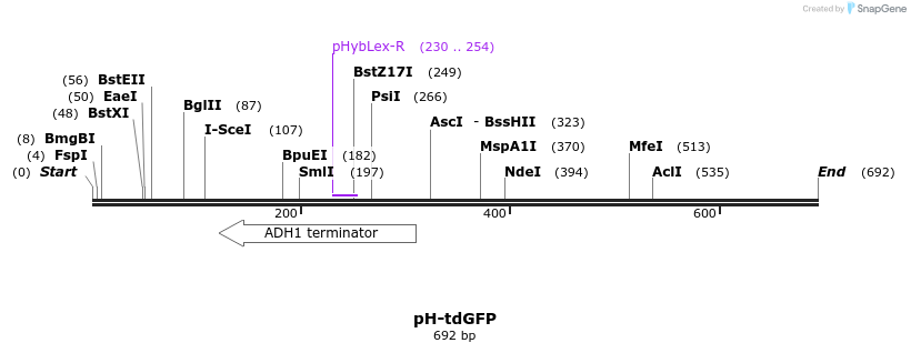 146456_map
