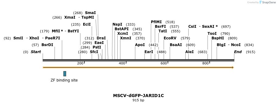 146494_map