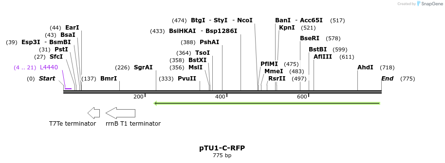 146503_map