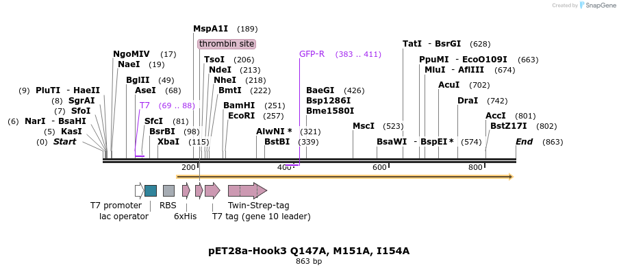 146513_map