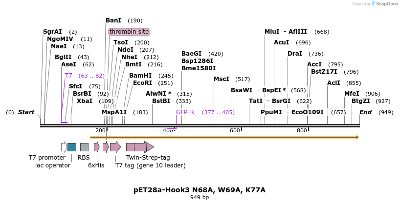 146515_map