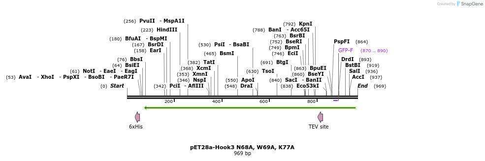 146516_map