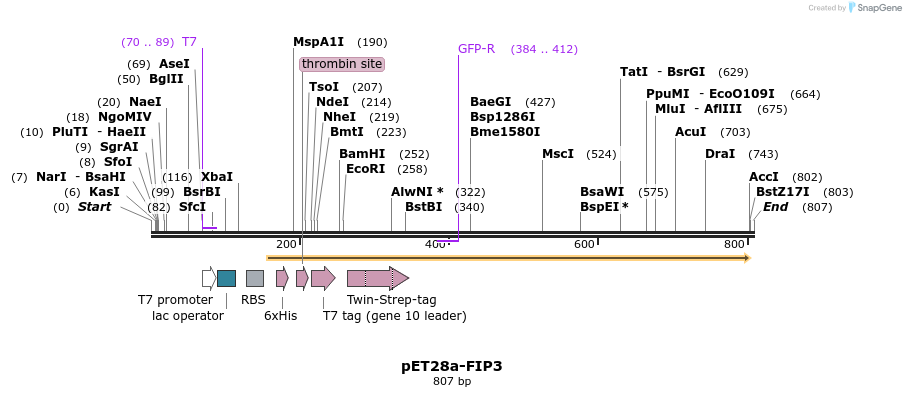 146519_map