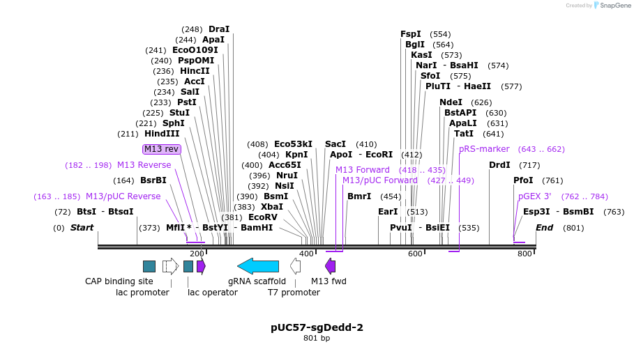 146520_map