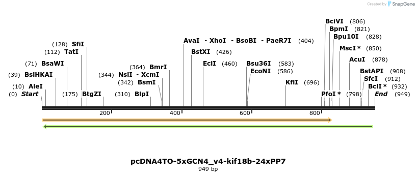 146521_map