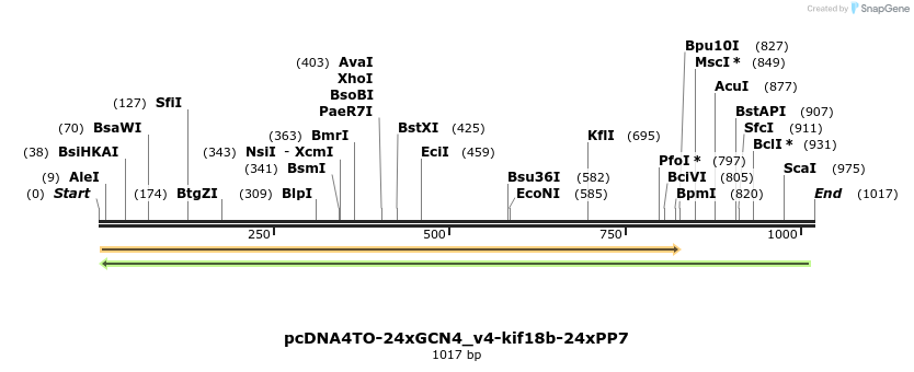 146522_map